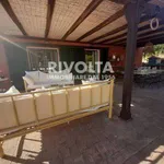 Rent 8 bedroom house of 250 m² in Monte Argentario