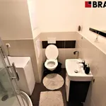 Rent 2 bedroom apartment of 35 m² in Brno