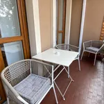 Rent 1 bedroom apartment in Milan