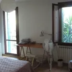 Rent 2 bedroom apartment of 60 m² in Padua