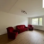 Rent 3 bedroom apartment of 75 m² in Brno