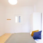 Rent 2 bedroom apartment of 15 m² in Berlin