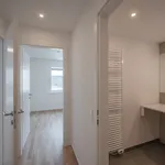 Rent 2 bedroom apartment of 57 m² in Vienna