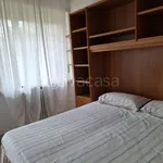 Rent 2 bedroom apartment of 45 m² in Torino