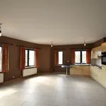 Rent 1 bedroom apartment in Ghent