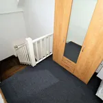 Rent 1 bedroom apartment in Brno