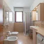 Rent 1 bedroom apartment of 68 m² in milano