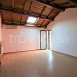 Rent 4 bedroom apartment of 110 m² in Catania