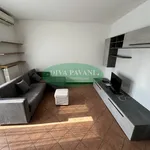 2-room flat via Bruxelles, Centro, San Donato Milanese