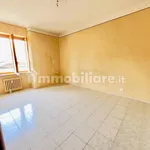 Rent 2 bedroom apartment of 60 m² in Turin