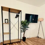 Rent 3 bedroom apartment of 75 m² in Erfurt