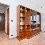 Rent 2 bedroom apartment of 45 m² in Saluzzo