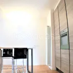 Rent 3 bedroom apartment of 115 m² in Milano