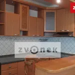 Rent 1 bedroom apartment of 30 m² in Zlín