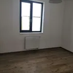 Pronajměte si 3 ložnic/e byt o rozloze 69 m² v Prague