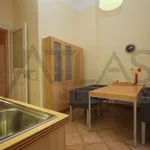 Rent 3 bedroom apartment of 160 m² in Prague