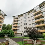 Rent 1 bedroom apartment of 32 m² in Ostrava