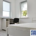 Rent 4 bedroom apartment in Szczecin