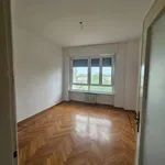 Rent 3 bedroom apartment of 80 m² in Turin