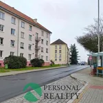 Rent 2 bedroom apartment in Sokolov