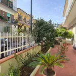 Rent 2 bedroom apartment of 40 m² in Naples