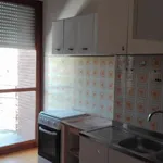 Rent a room in bologna