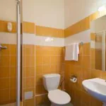 Rent 1 bedroom apartment of 50 m² in Prague