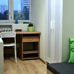 Rent a room in Katowice