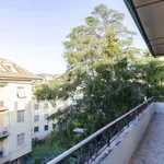 Rent 1 bedroom apartment in Genoa