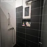 Pronajměte si 2 ložnic/e byt o rozloze 45 m² v Prague