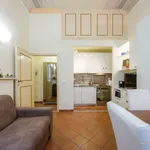 Rent 1 bedroom apartment of 45 m² in Florence