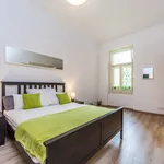 Rent 2 bedroom apartment of 50 m² in Praha 10 - Vinohrady