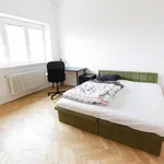 Pronajměte si pokoj o rozloze 57 m² v Brno