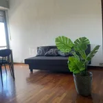 Rent 2 bedroom apartment of 62 m² in Torino