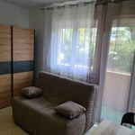 Rent 1 bedroom apartment of 17 m² in Montpellier 
