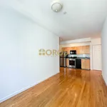 Rent 1 bedroom apartment in New York City