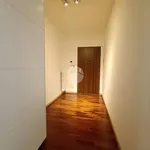 Rent 2 bedroom apartment of 60 m² in Milano