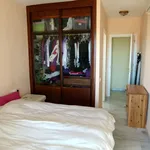 Rent 2 bedroom apartment of 150 m² in Malaga']