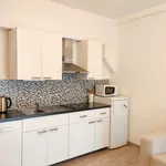 Rent 1 bedroom apartment of 47 m² in Prague