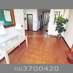 Rent 1 bedroom apartment of 35 m² in Roma