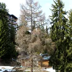 apartment in Les Collons Switzerland