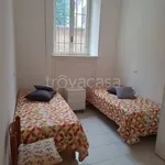 Rent 1 bedroom apartment of 45 m² in Pavia