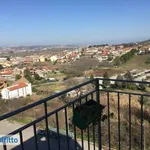 Rent 3 bedroom apartment of 80 m² in Chieti