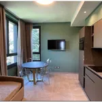 Rent 2 bedroom apartment of 60 m² in Turin