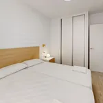 Alquilo 4 dormitorio apartamento de 80 m² en Alicante