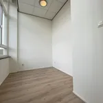 Rent 2 bedroom apartment of 28 m² in Groningen