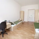 Rent 1 bedroom apartment of 12 m² in Brno