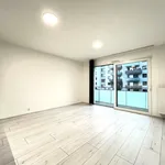 Rent 2 bedroom apartment of 48 m² in České Budějovice