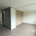 Rent 5 bedroom house of 183 m² in 't Hool