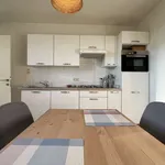 Rent 1 bedroom apartment in brussels